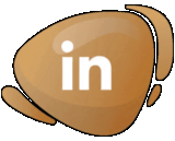 Lien Linkedin